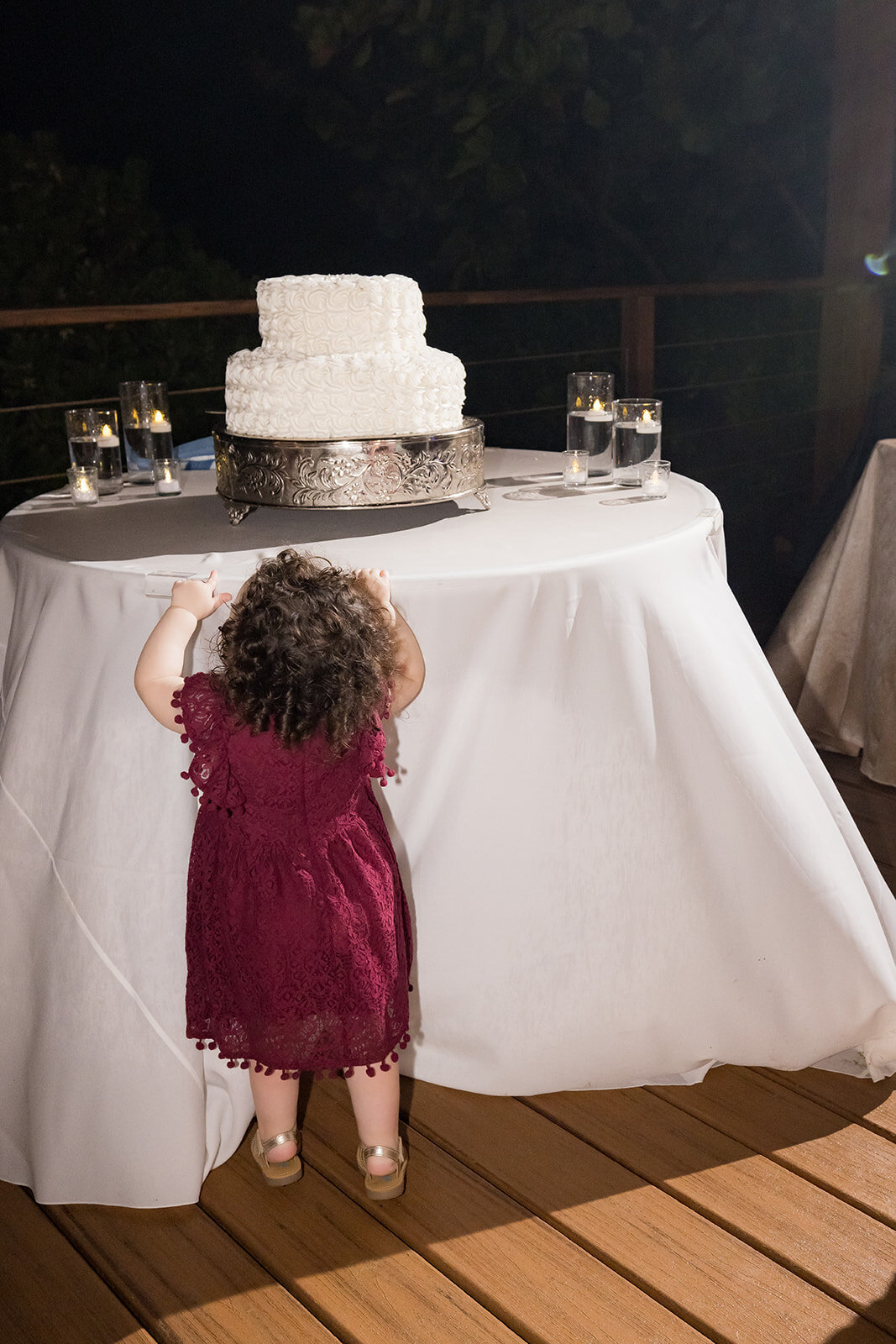 Ed and Aileen Photography Chicago Illinois Digital Film Wedding Engagement Photographers Destination Puerto Rico25