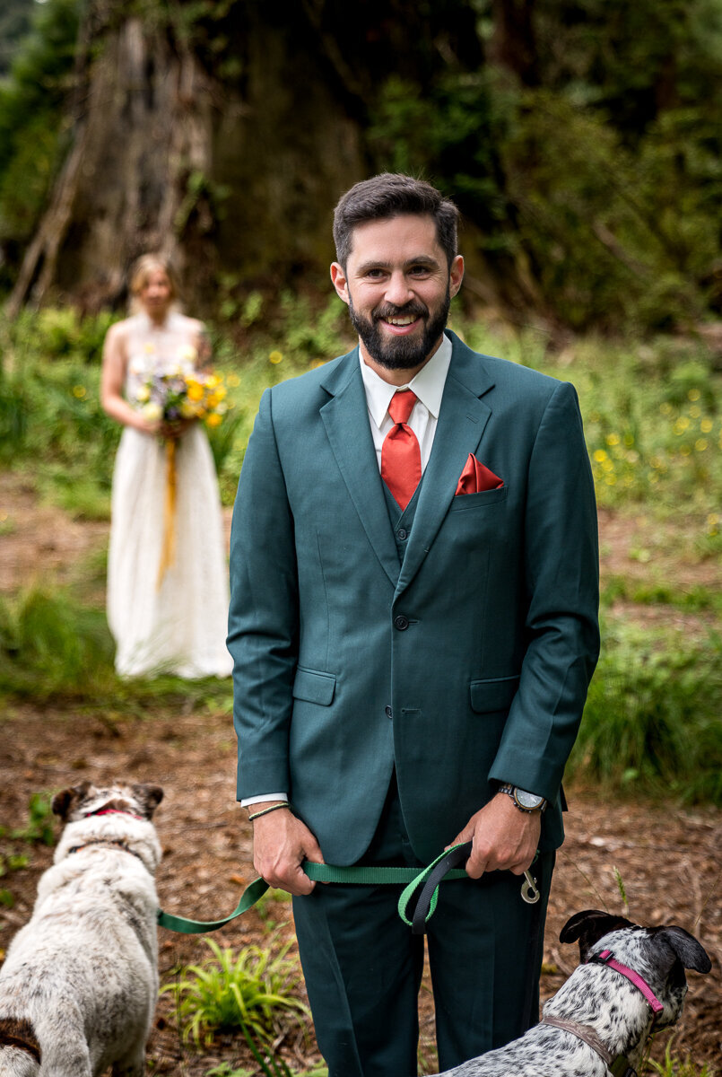 The bride and groom share a touching first look in the serene redwood grove at Ridgefield in Arcata, joined by their beloved dogs. A perfect blend of love, nature, and cherished companions on their special day.