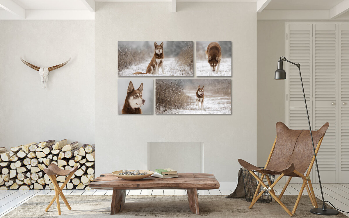 Saprito collection 2