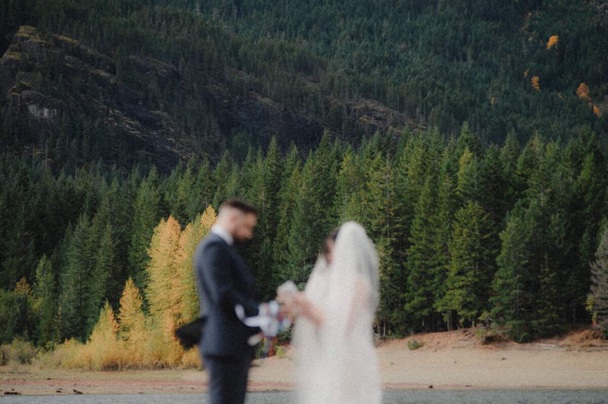 Strathcona Park Elopement-119