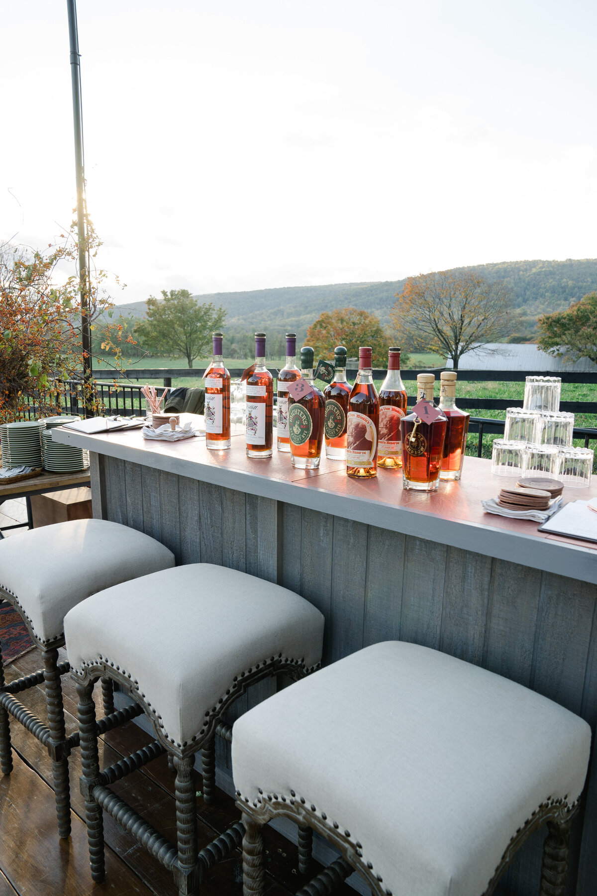 Special-Event-Planner-Virginia-Tented-Birthday-Party0131