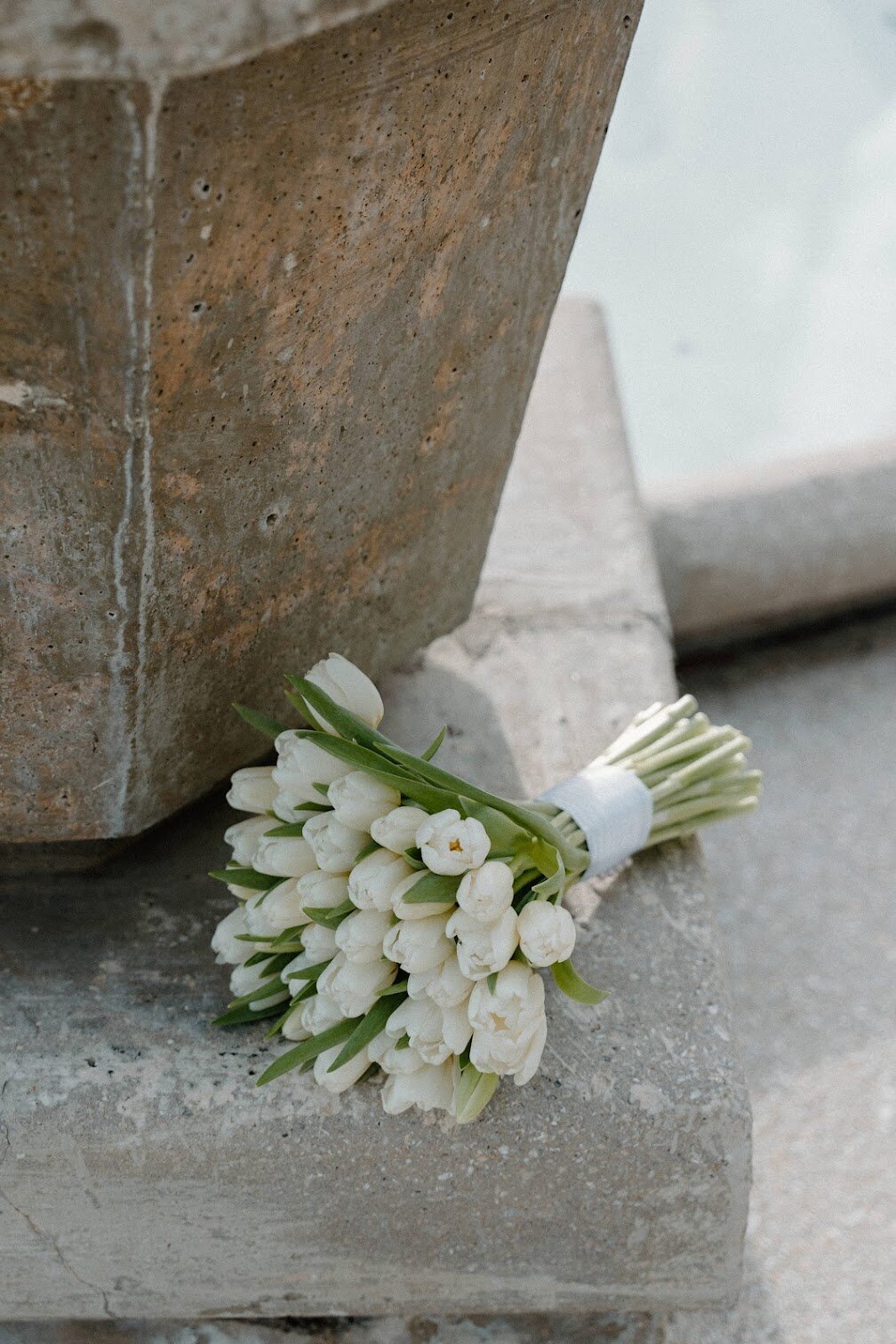 Drew_Sharon_St_Augustine_Wedding_Audrey_Darke_Photography-6