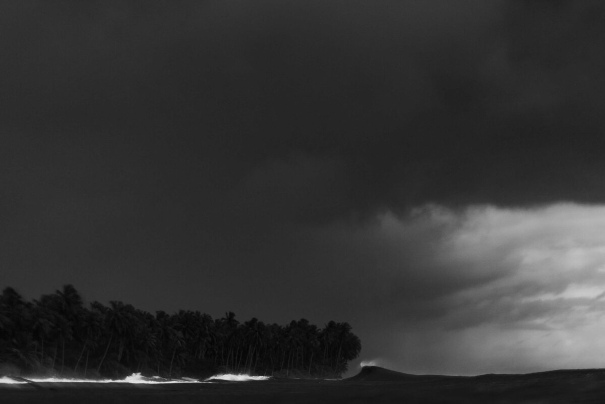 _DSC2941
