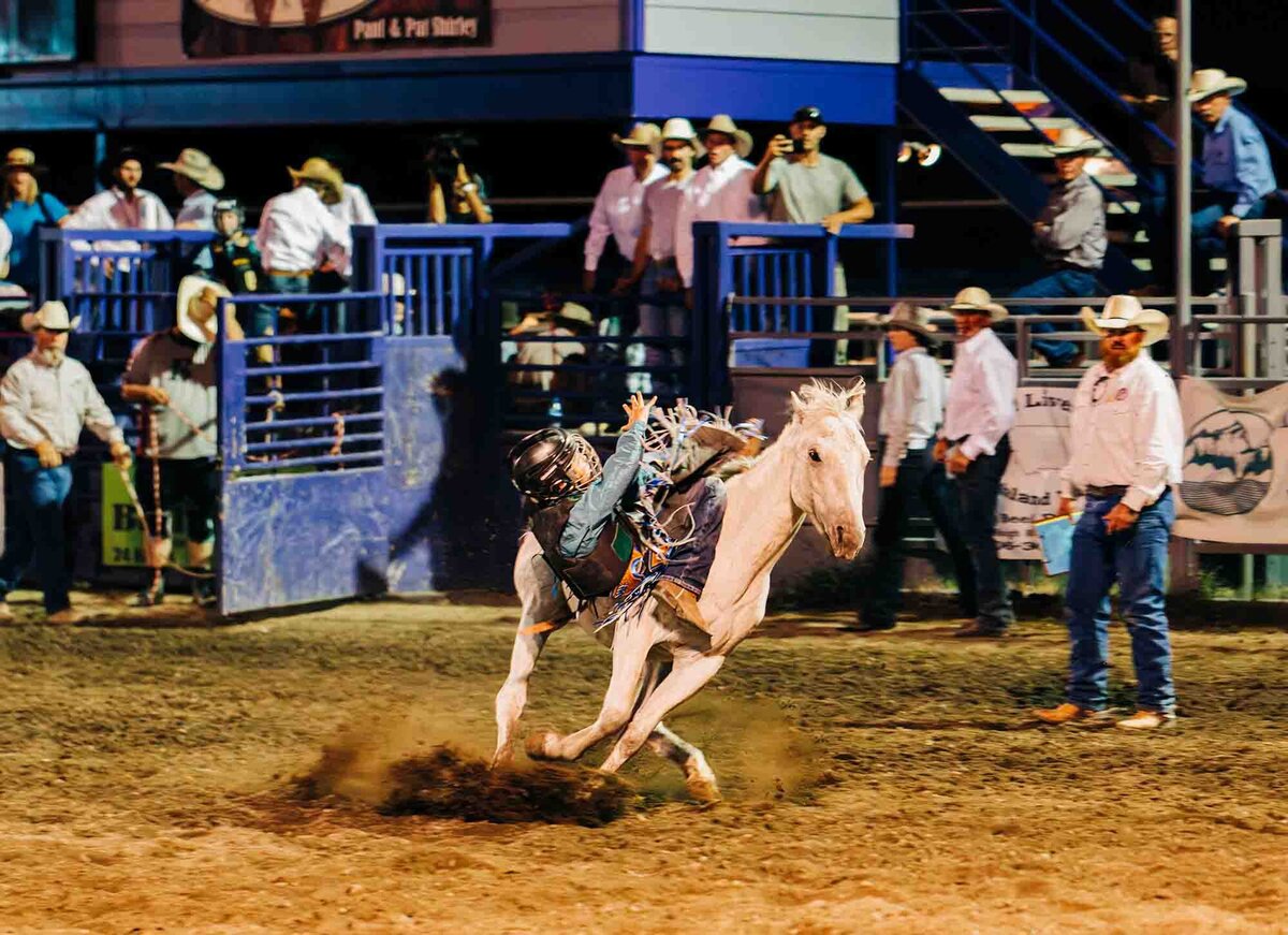 Young kid riding mini bronc at Montana rodeo