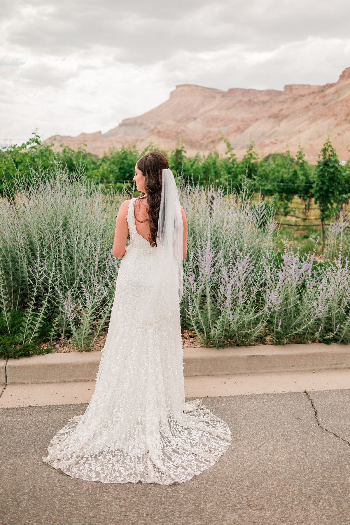 colorado-wine-country-inn-wedding-palisade_0487s