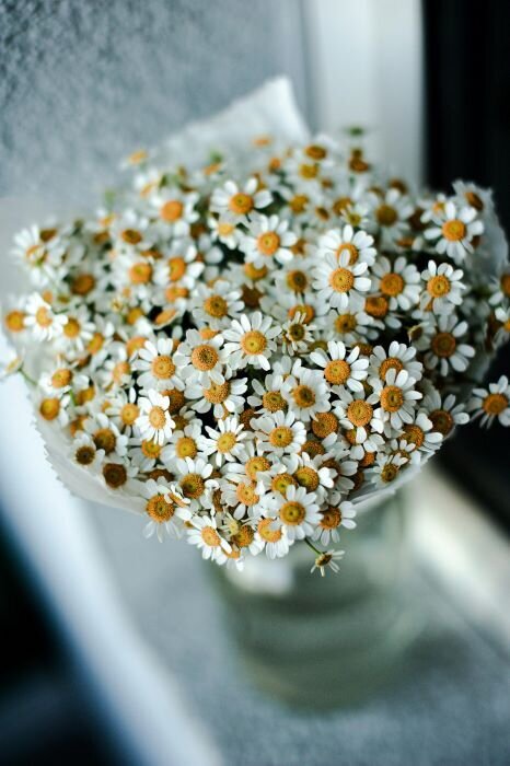 organic chamomile  bouquet longview texas