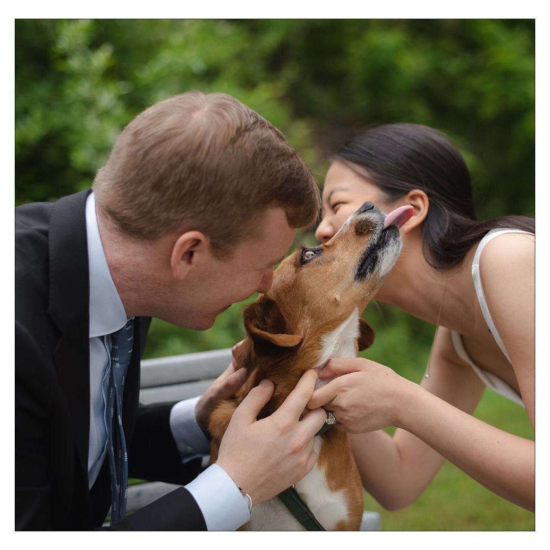 HowardCountyMarylandCourthouseWedding449783005_1000614032063888_6545303393876139992_n