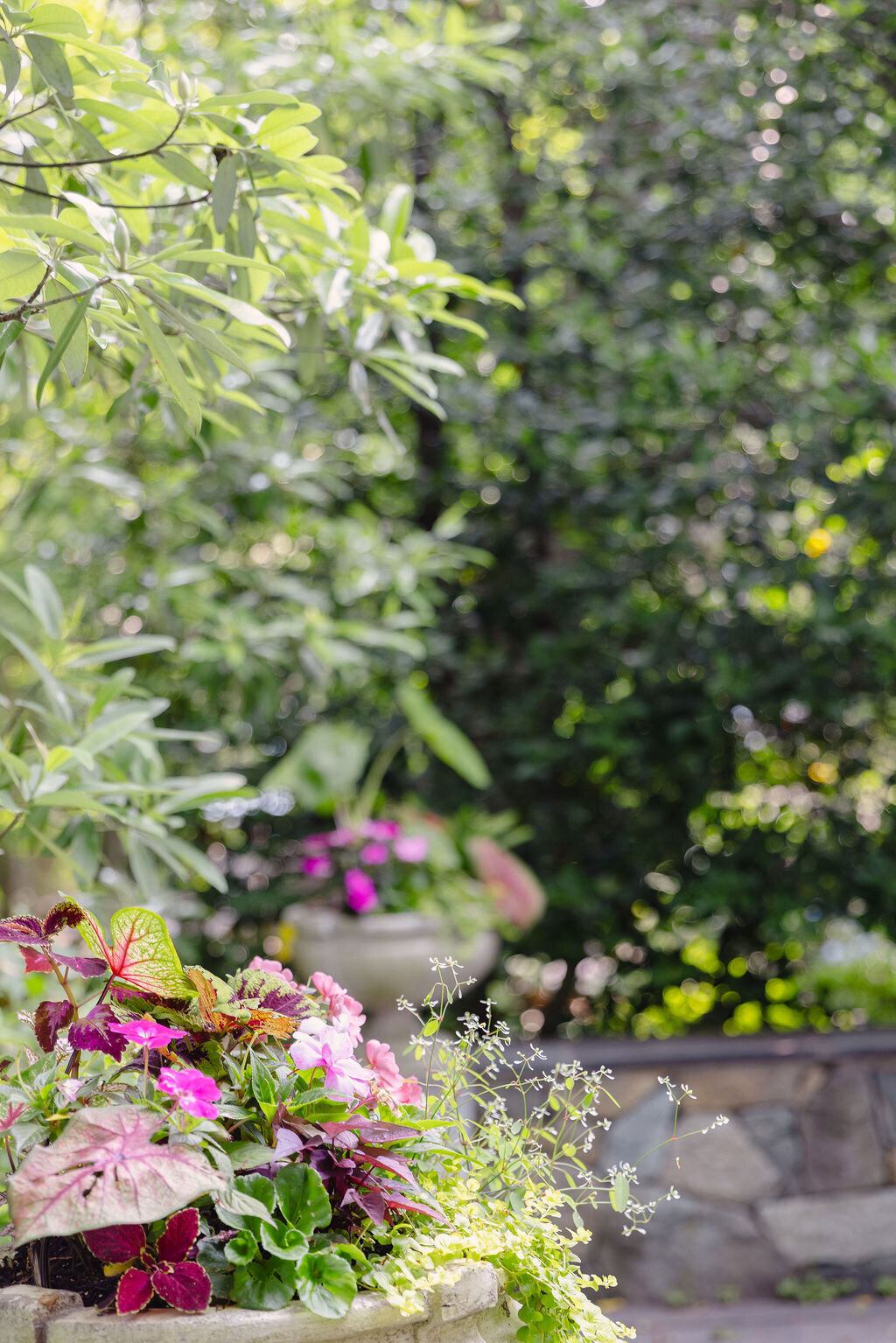 Lanier Landscapes DMV Landscape Designer 4