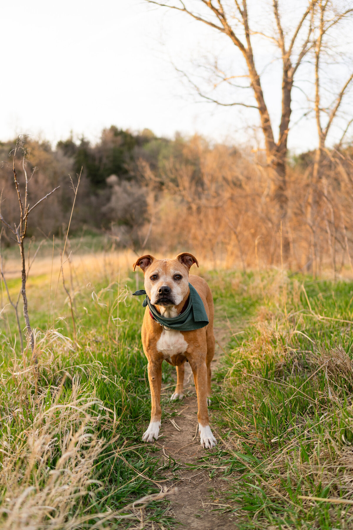 Folsom point (20 of 41)