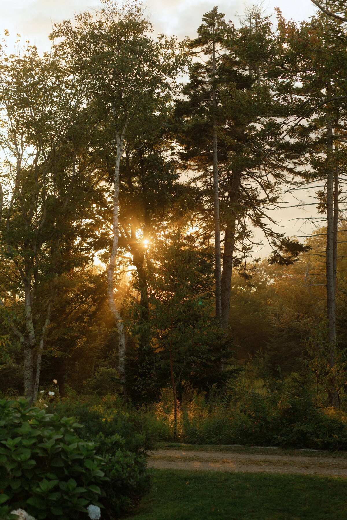 Private_Estate_Maine_Coastal_Wedding_LevKuperman_085