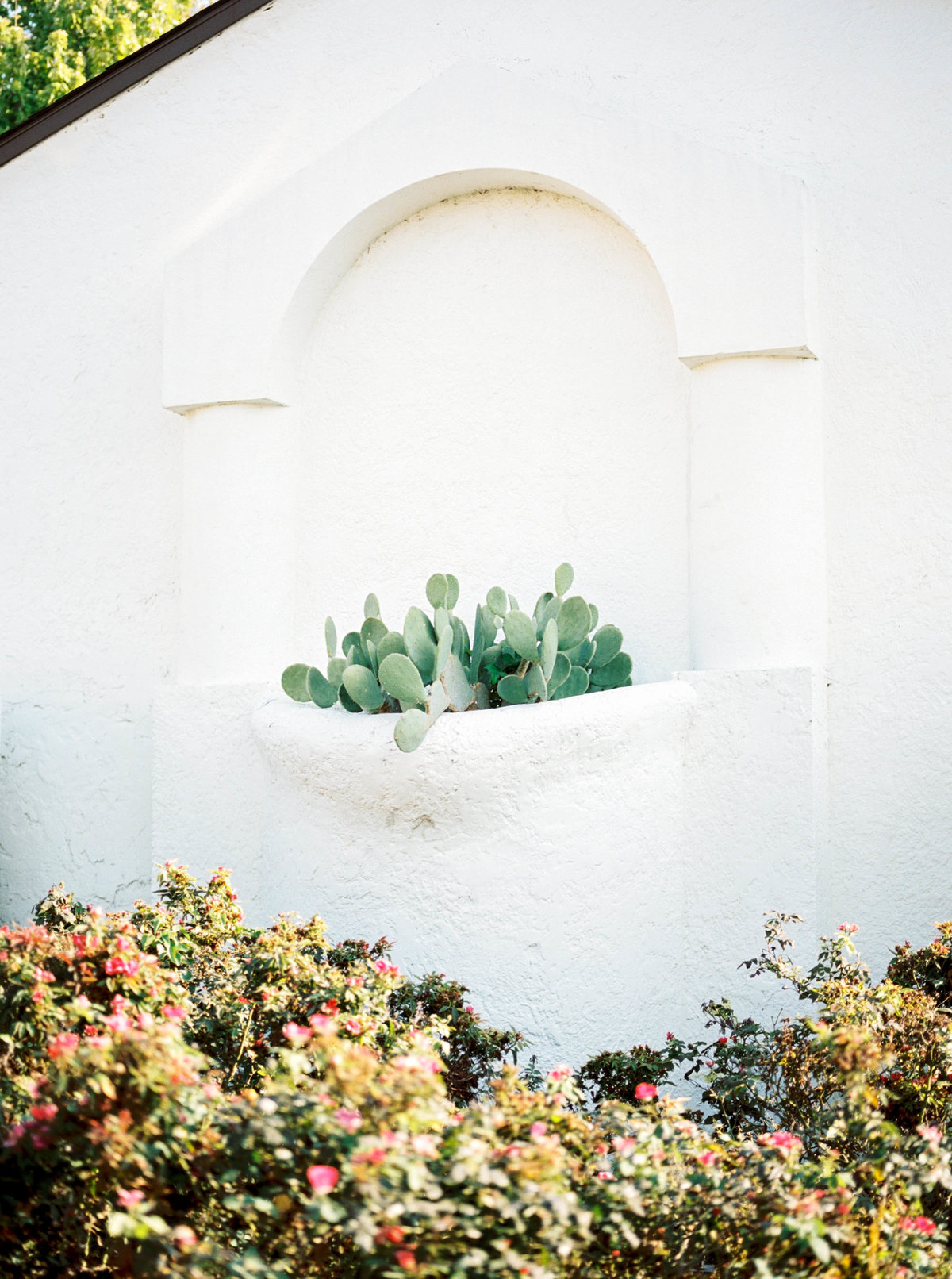 dallas engagement photographer-21