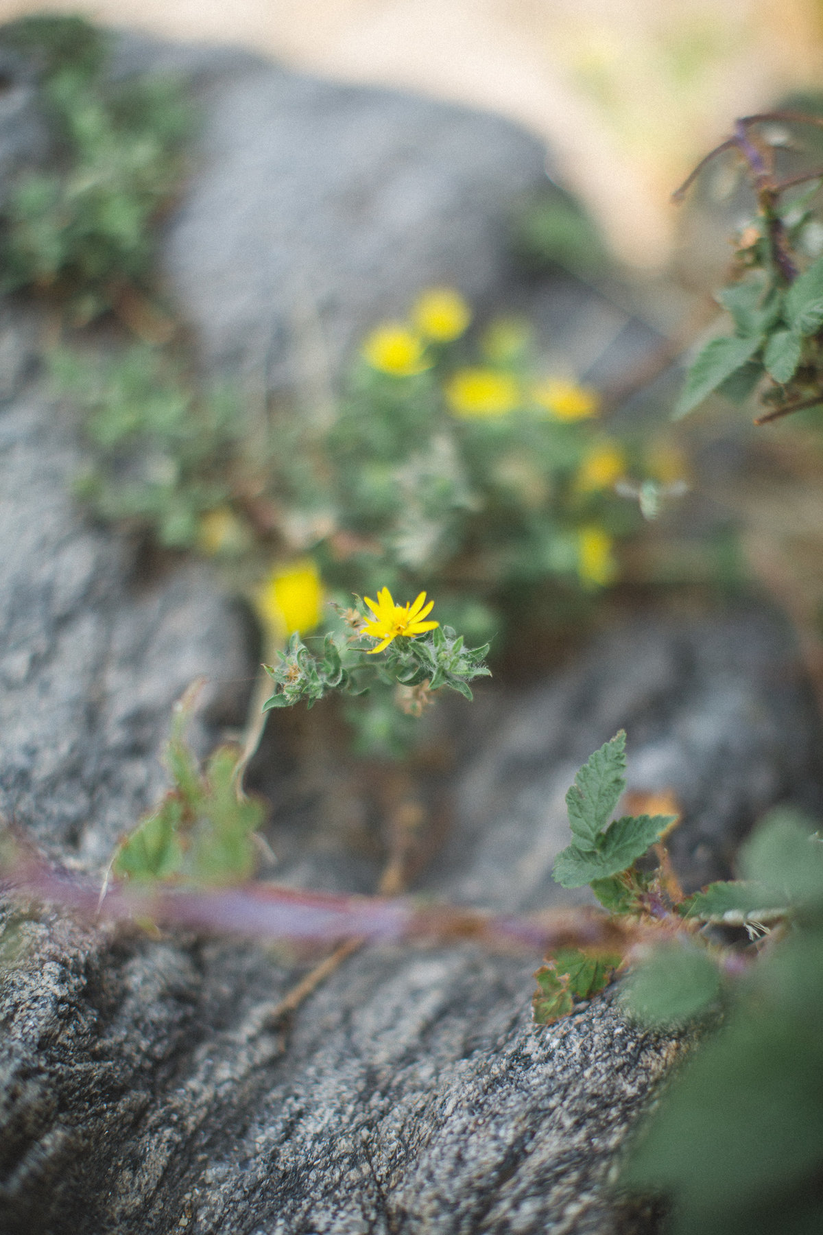 Boulder Colorado -DiBlasio Photo-5