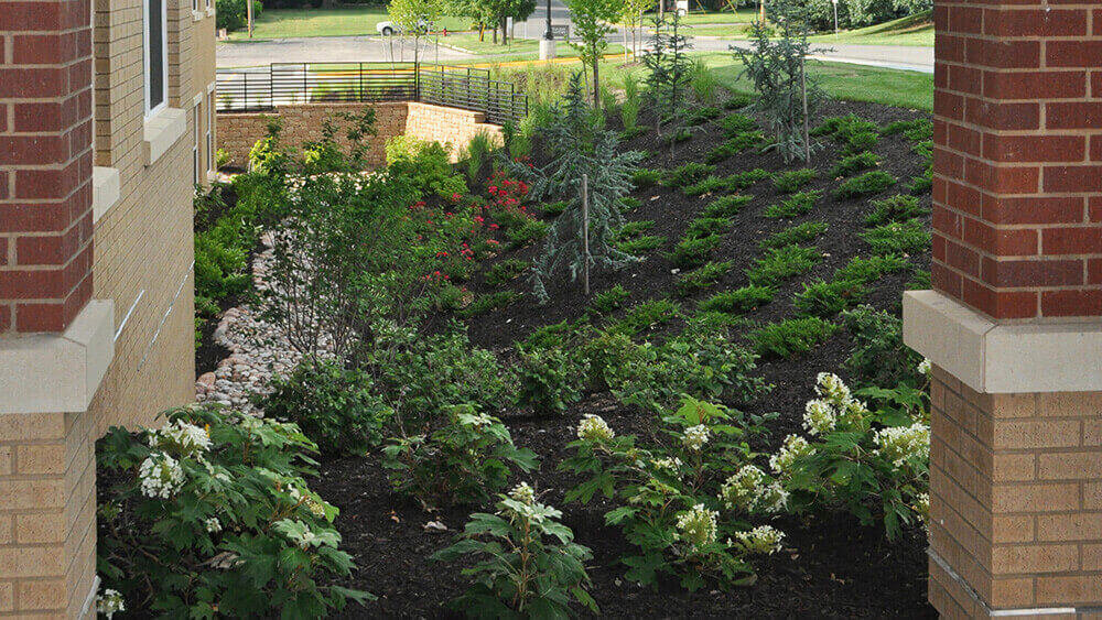 Commercial landscape company project in Kansas City