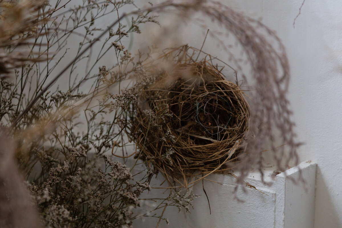 Contemporary Floral Art Installation Wales (1)