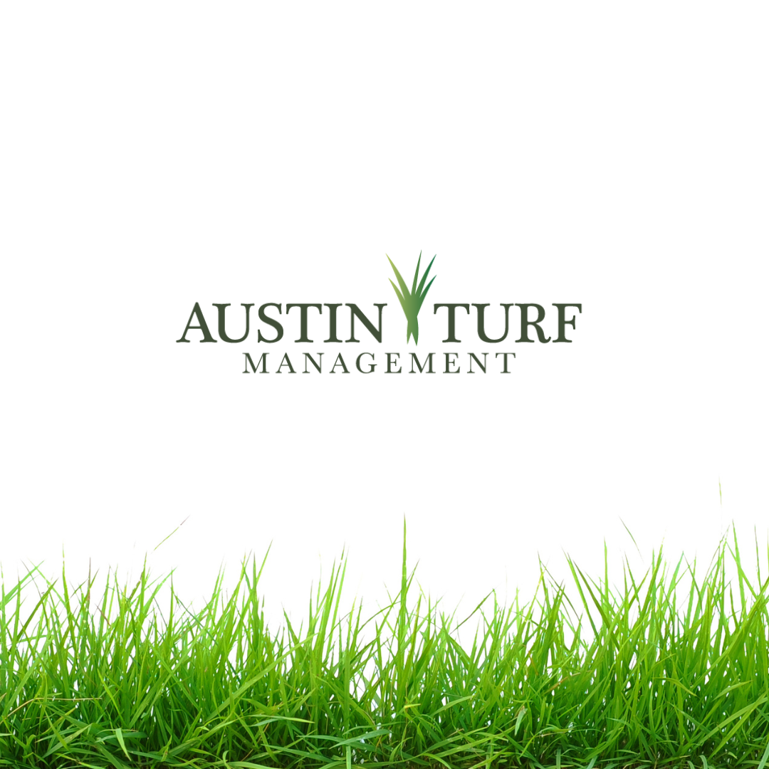 Austin Turf
