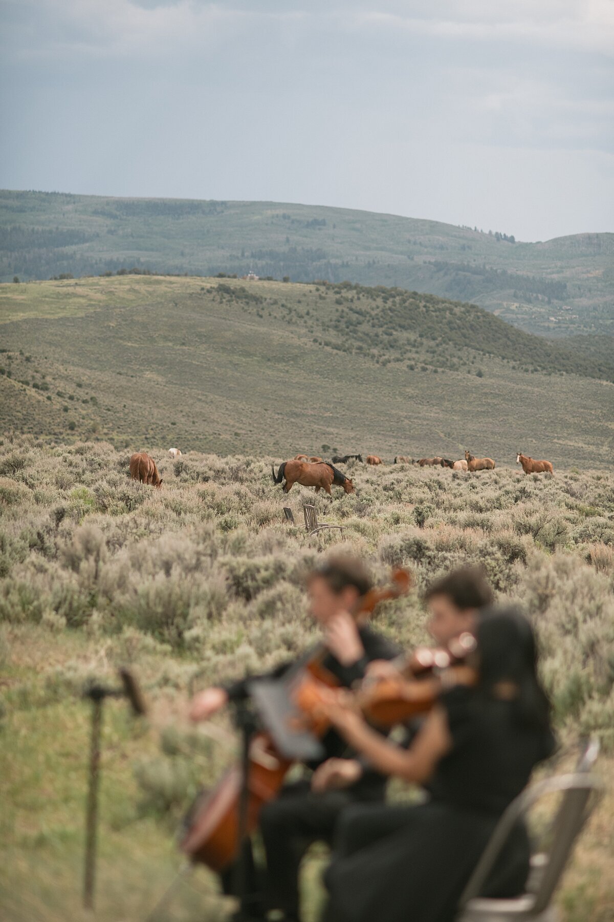 Colorado_Wedding_Photographer_0323