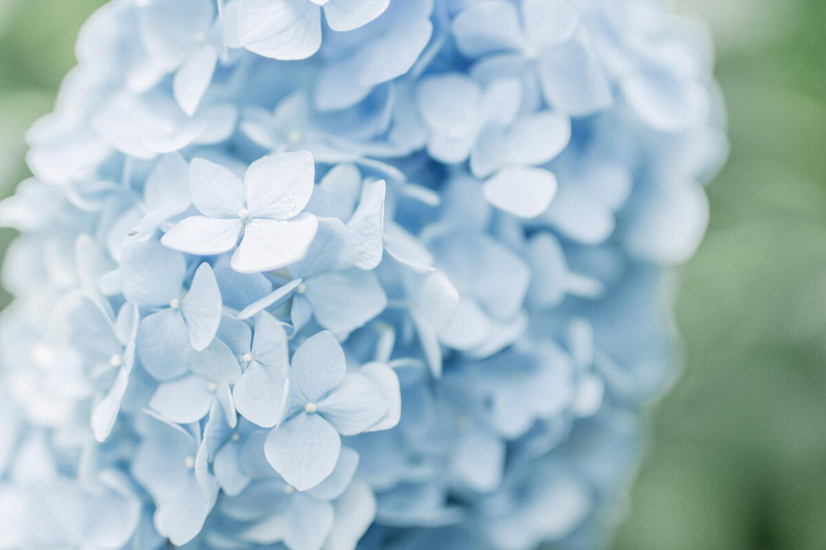 YukikaIshikawaPhotography23