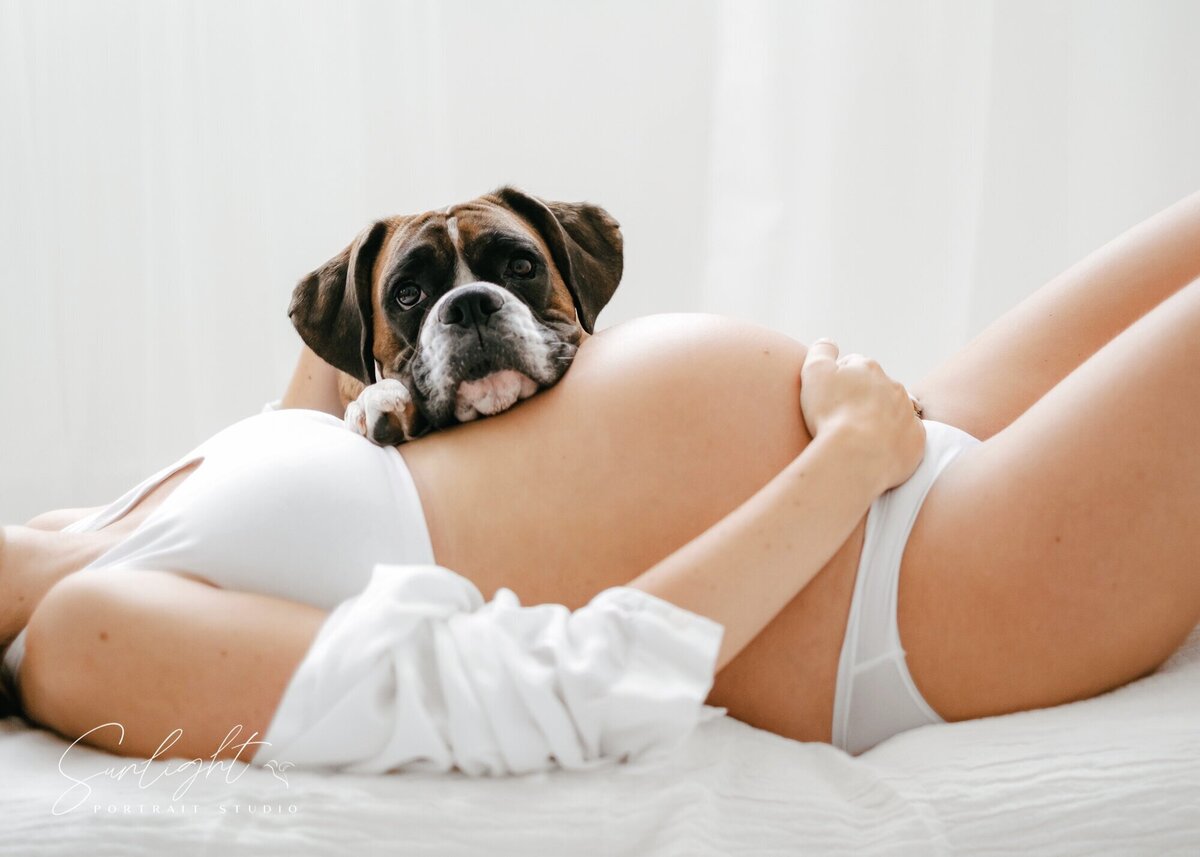 Dog rests his head on a pregnant woman's bump