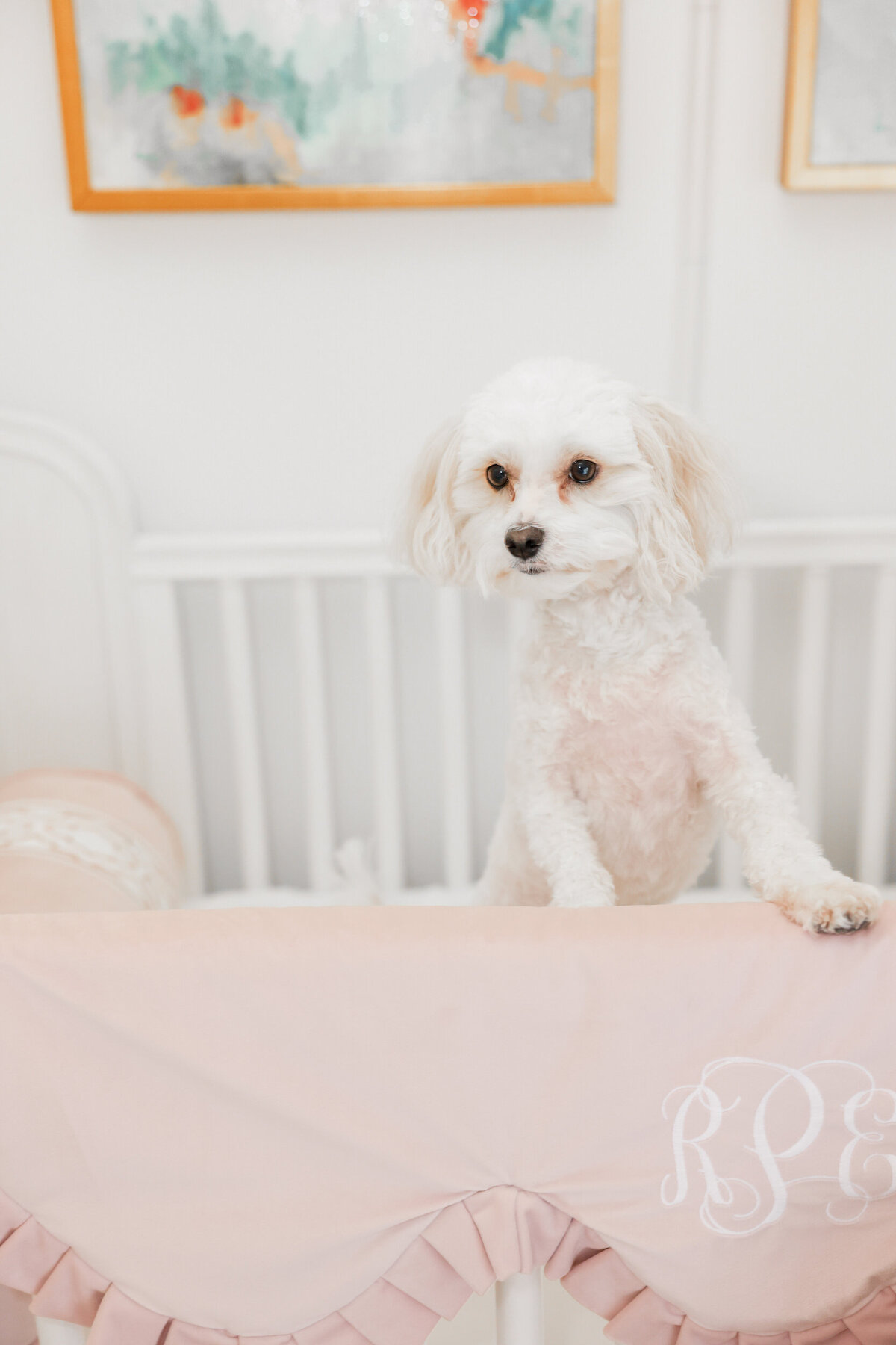 Melany-Hodges-Photography-Newborn11