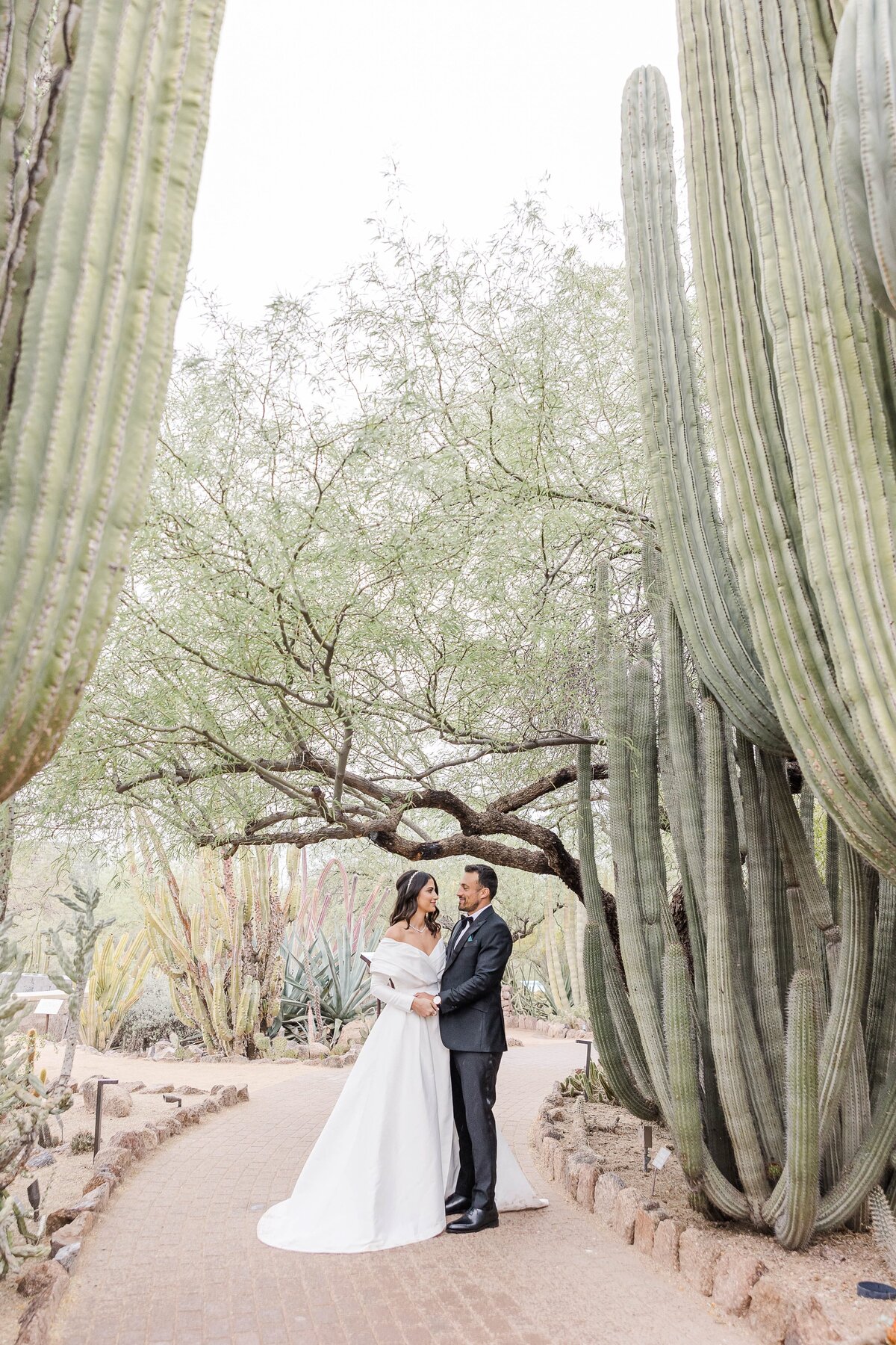 Affordable-Wedding-Photographer-Desert-Botanical-Gardens-1024