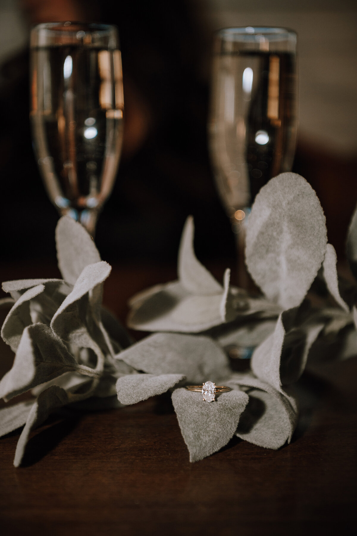 Details-Ring-Engagement-Photographer