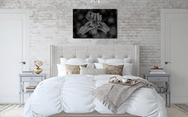 Fine Art Photographic Aluminum Print Black and White closeup of tiger lily title Come Hither Example Display hanging on wall above bed in bedroom