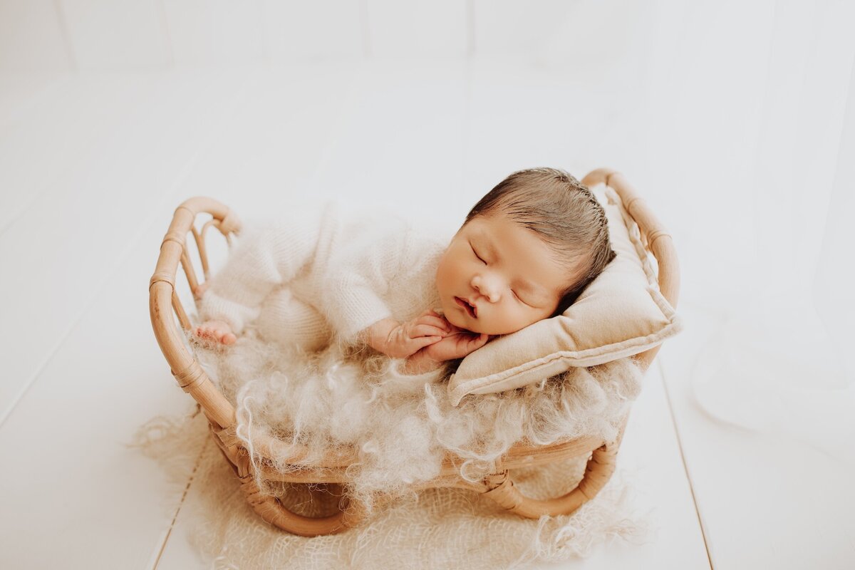 Sacramento, Elk Grove, Florin, Vineyard, Roseville, Davis, Rancho Cordova, East Sacramento, Cameron Park, Folsom, Antelope Newborn Photographer, Baby Photographer, A Little Goose