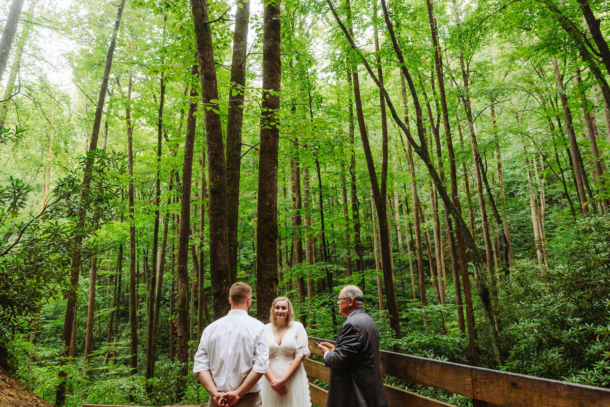 Moore-Cove-Falls-NC-Elopement-13