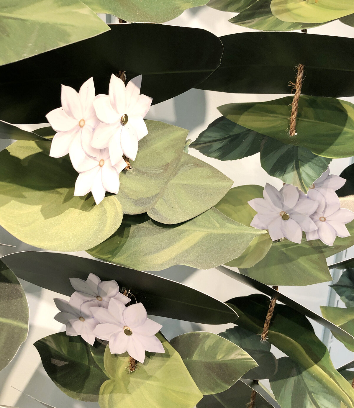 CloseUp_Flowers