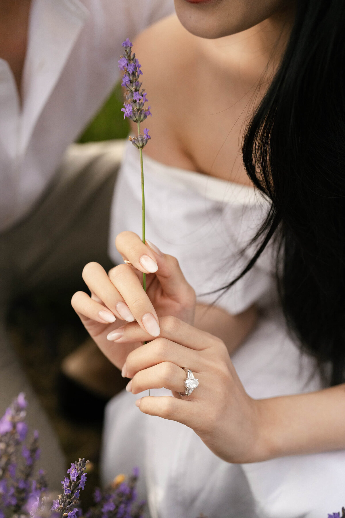 Pre wedding lavender photo shoot in the Luberon