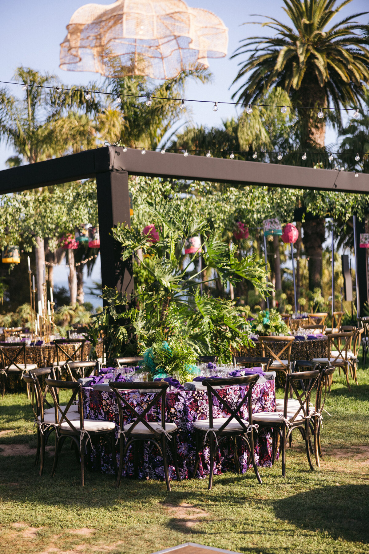 Tyler Speier Events - Zoofari2024-93