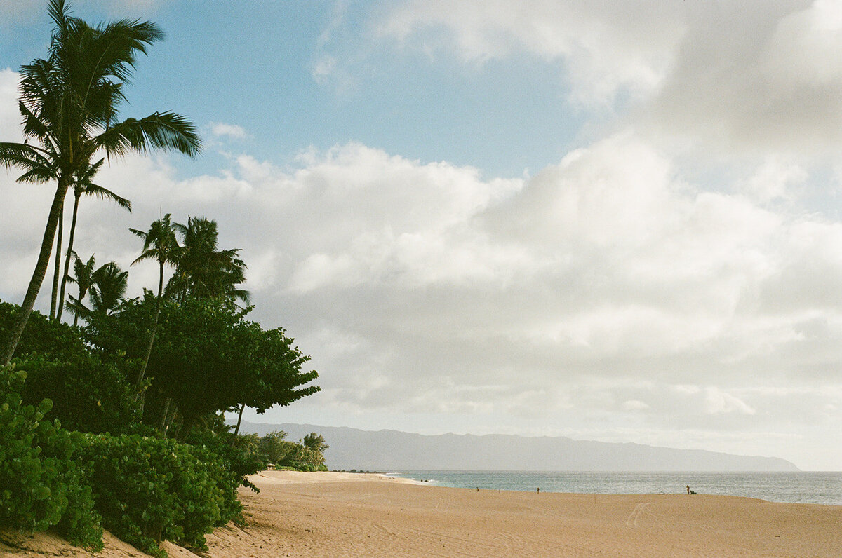 Vivienne_Patrick_Turtle_Bay_Wedding_SBerard_Photography-16