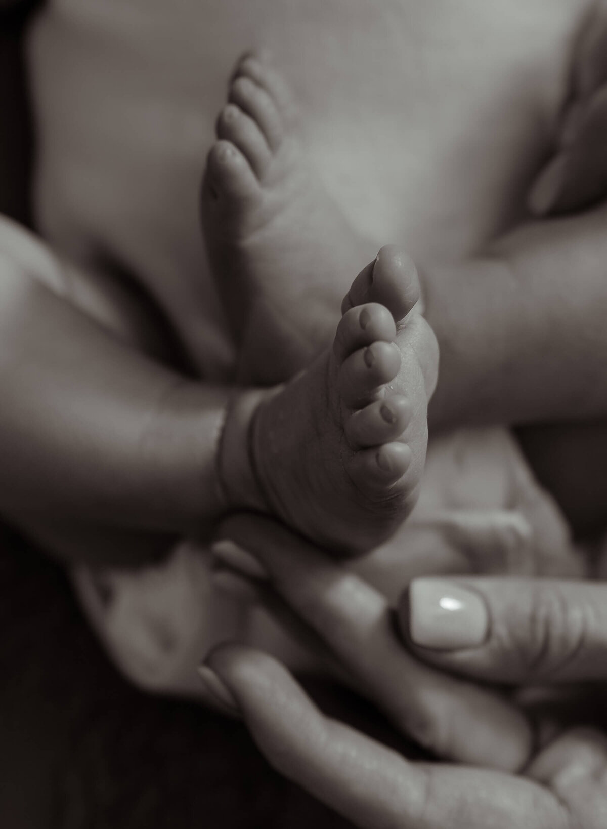 newborn-hands
