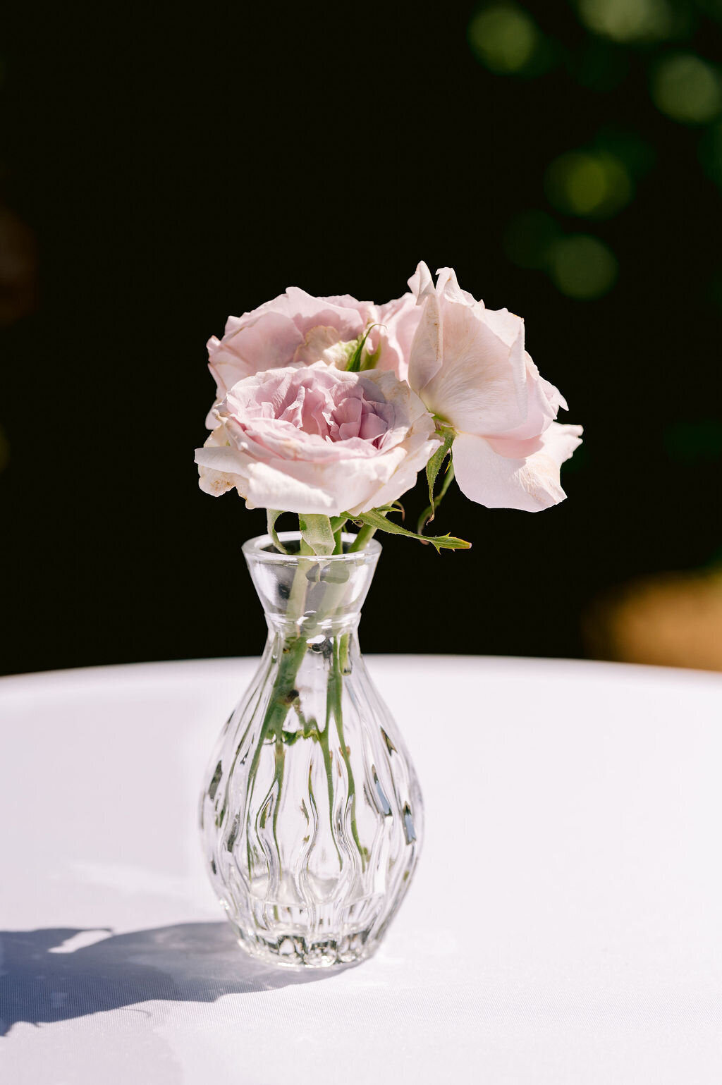 Zaversnik-Wedding-242