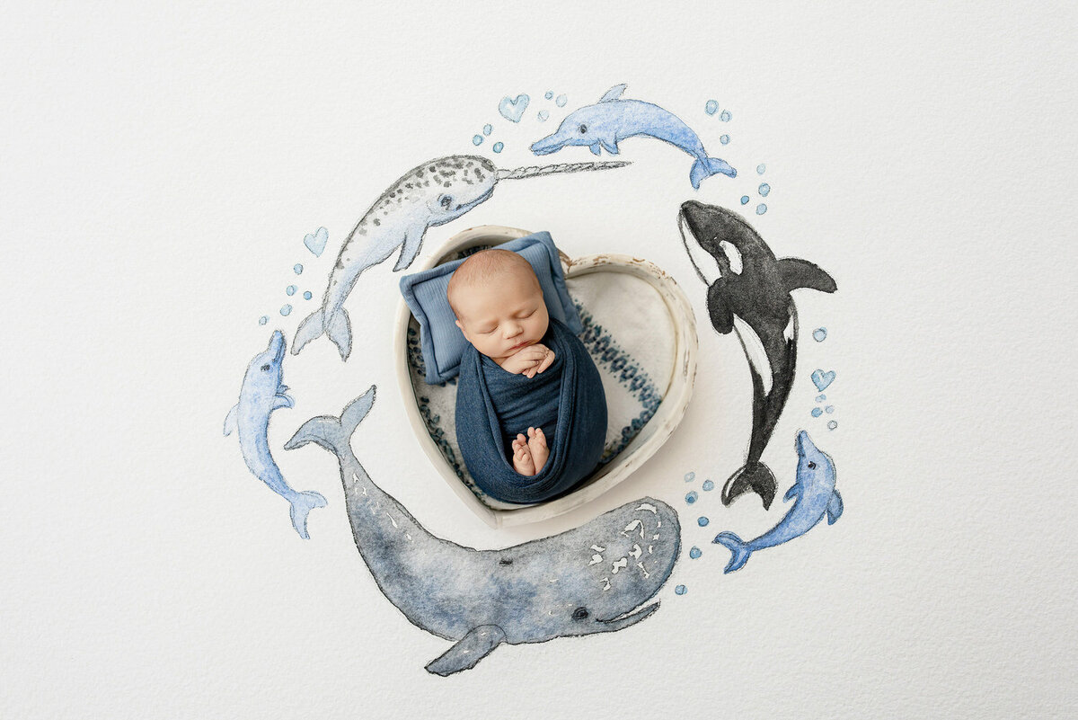 Whaleofatime-1