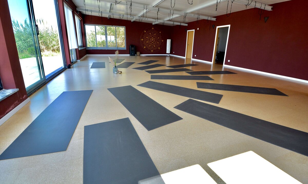Yoga ShalaRender 15