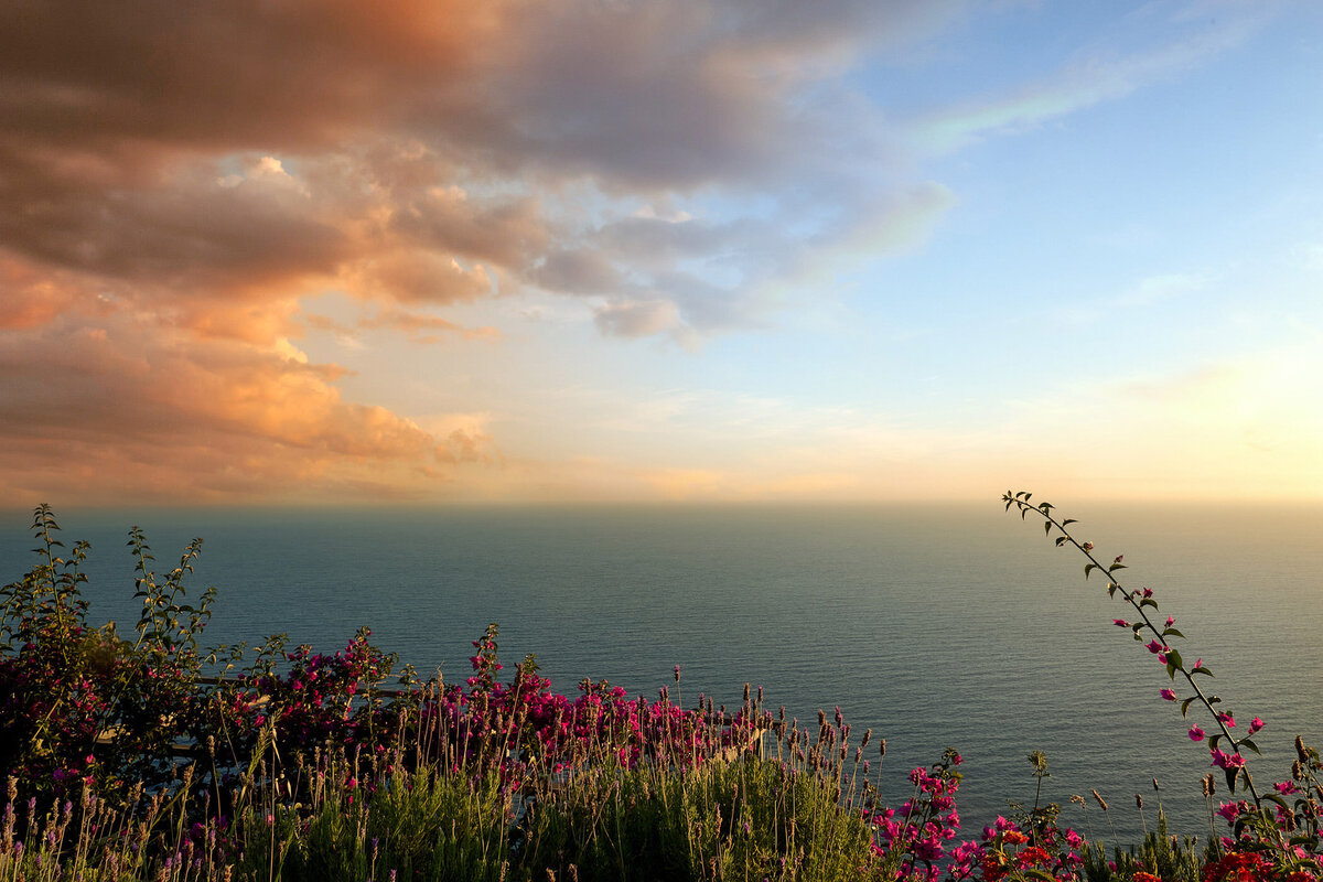 Mediterrane Küstenlandschaft mit wild blühenden Pflanzen im Vordergrund und weitem Blick über das Meer bei Sonnenuntergang – stimmungsvolle Naturaufnahme für Tourismus und Editorials