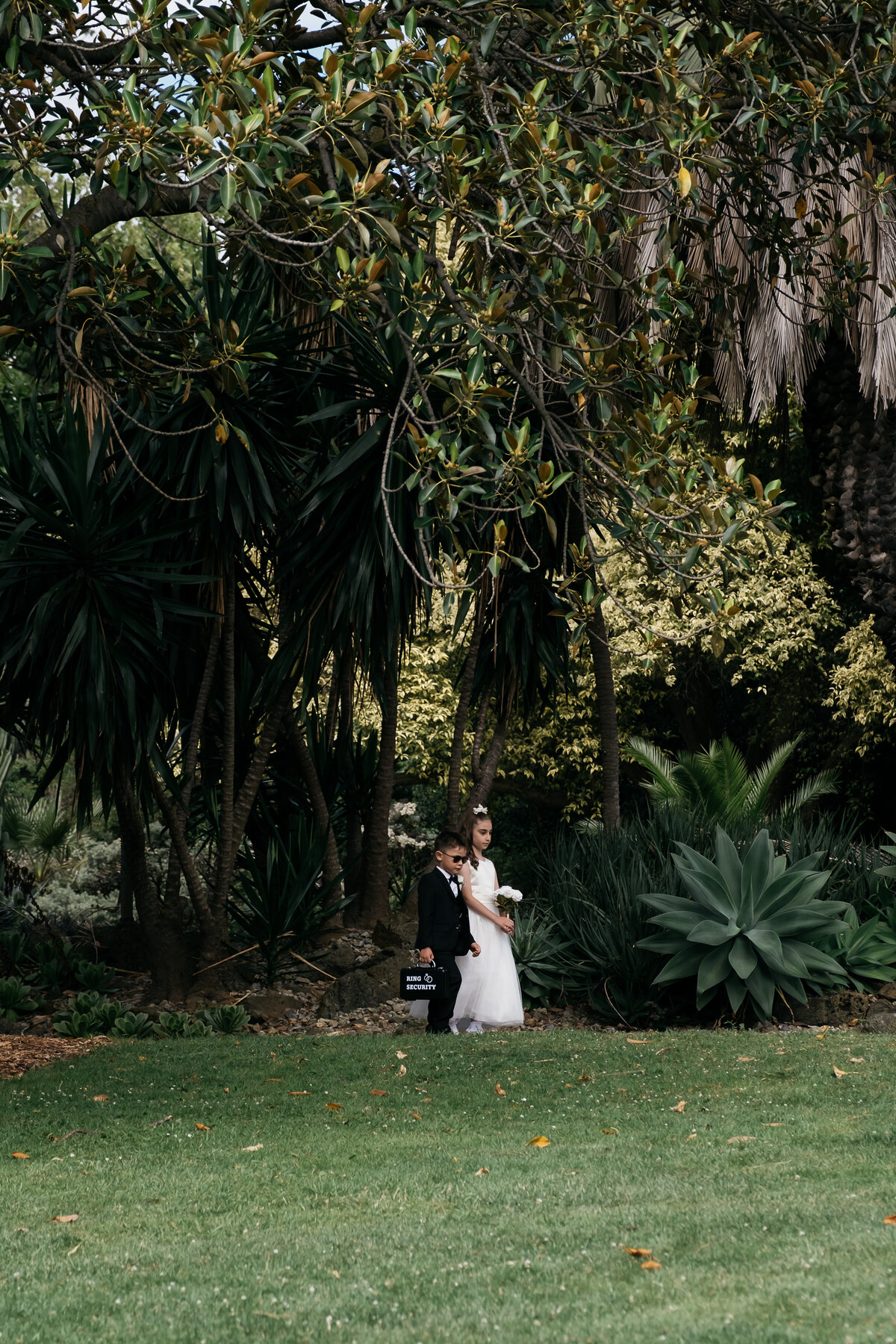 Courtney Laura Photography, Royal Botanical Gardens, The Terrace, Yarra Valley Wedding Photographer, Zoe and Sergio-102