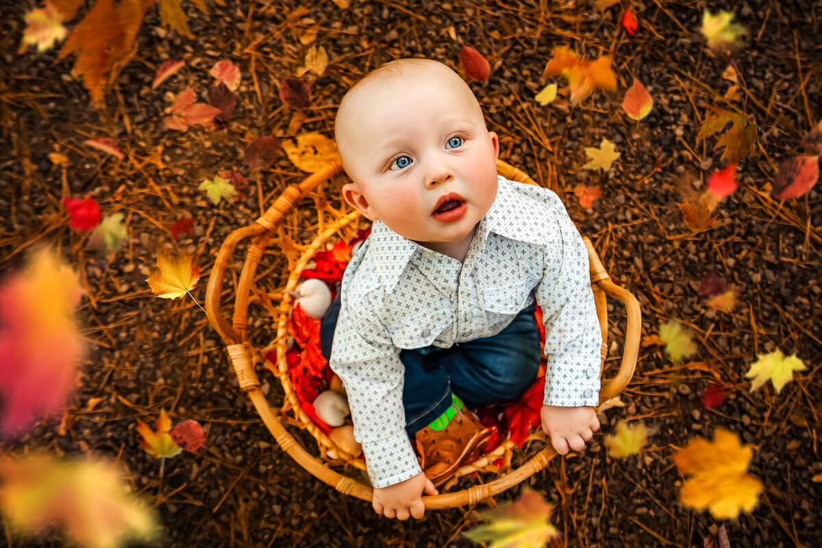 child in a basket with fall leaves