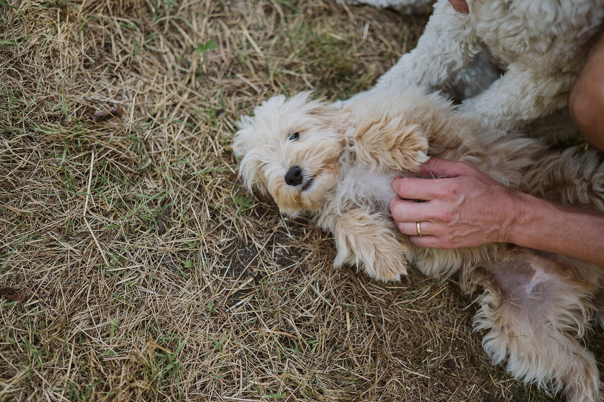 Marianne Bal Photography Family Tess Nico Nora Hurwenen-90_websize