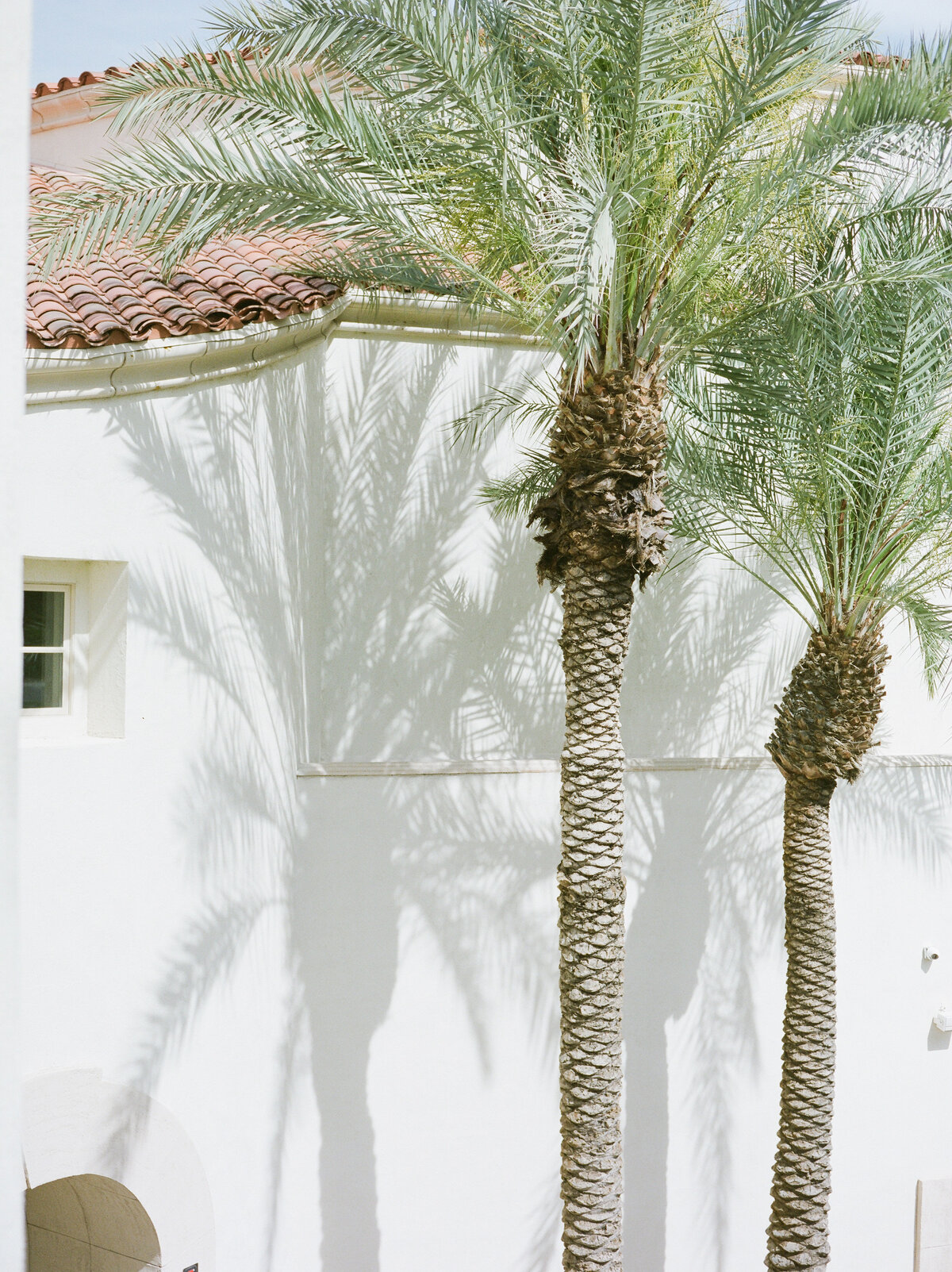 Alexa + Justin Wedding Sneaks (film)-1003