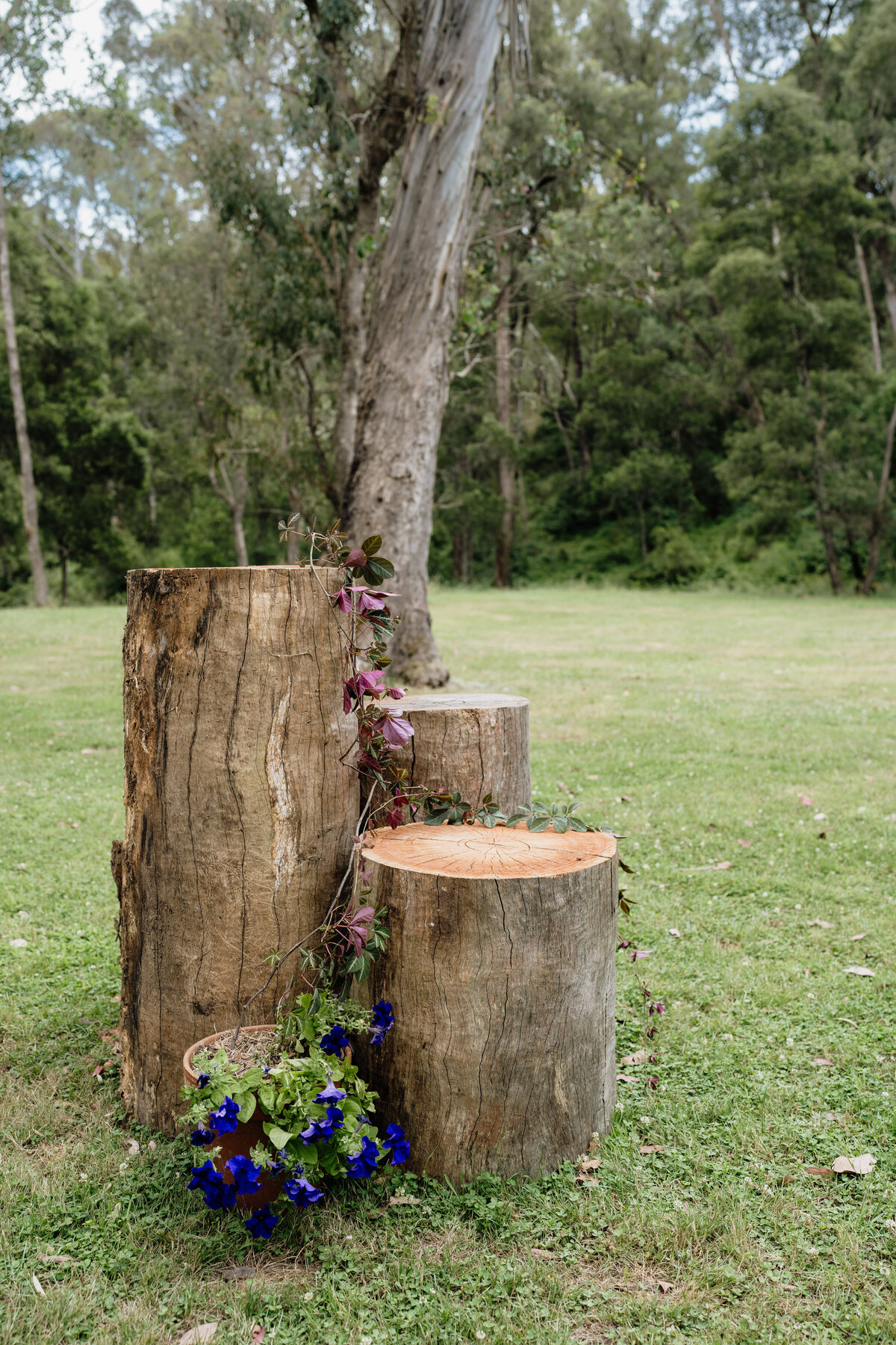 Claire and Justin - Wedding - Ceremony - JessicaCarrollPhotographer-16