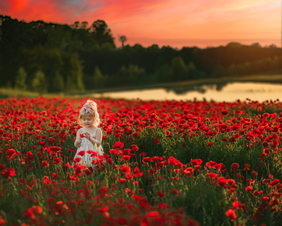 Raleigh-childrens-photographer--44