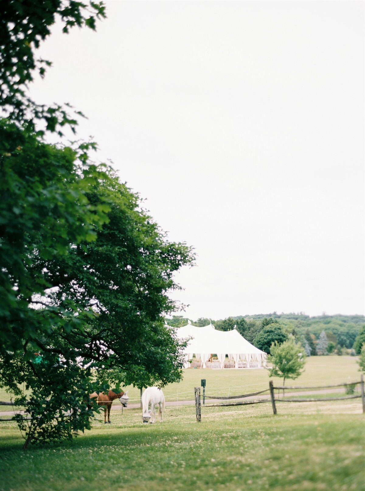 Tented Wedding in Ipswich, MA-1