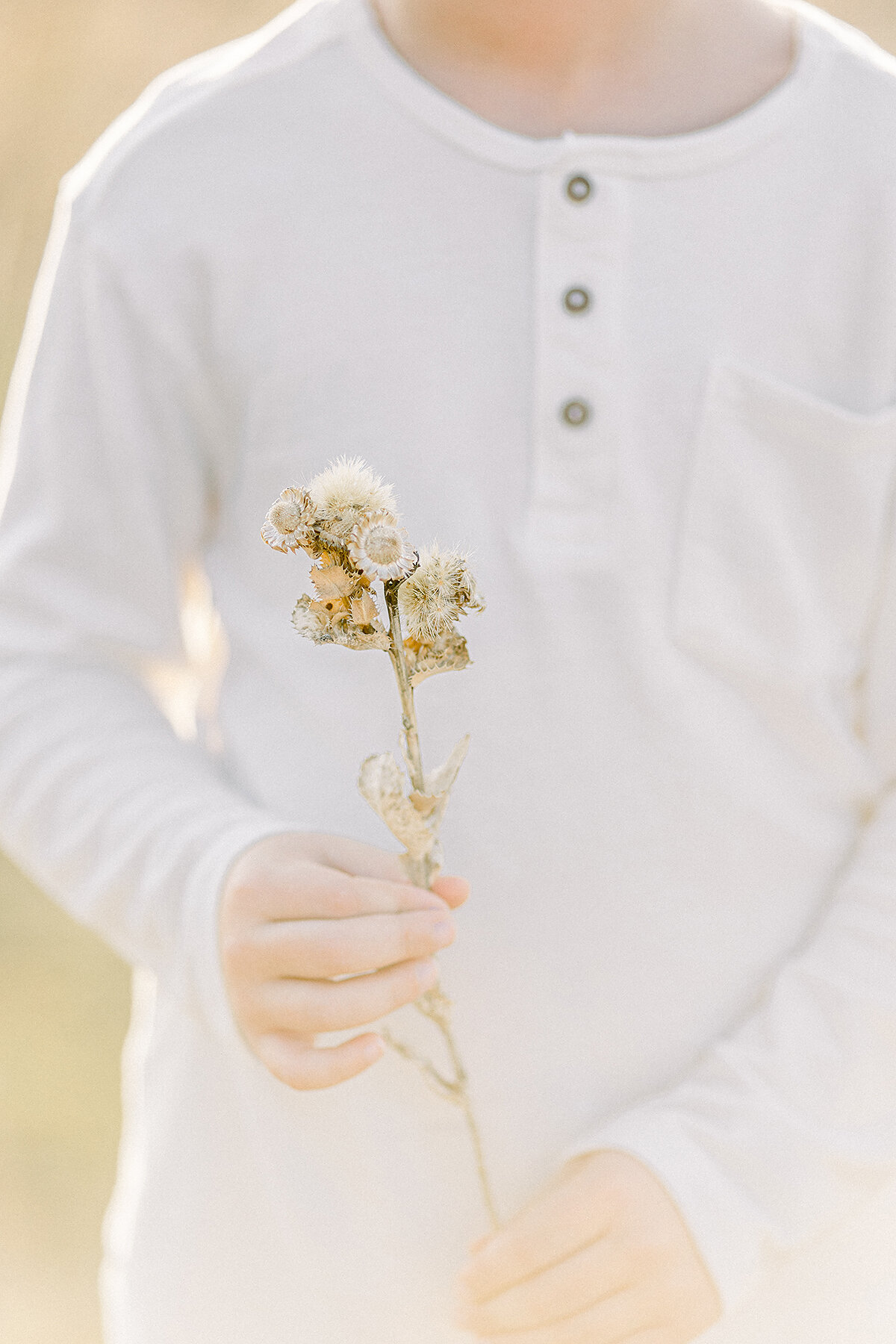 Close up photo of a boy holding a blooming flower.