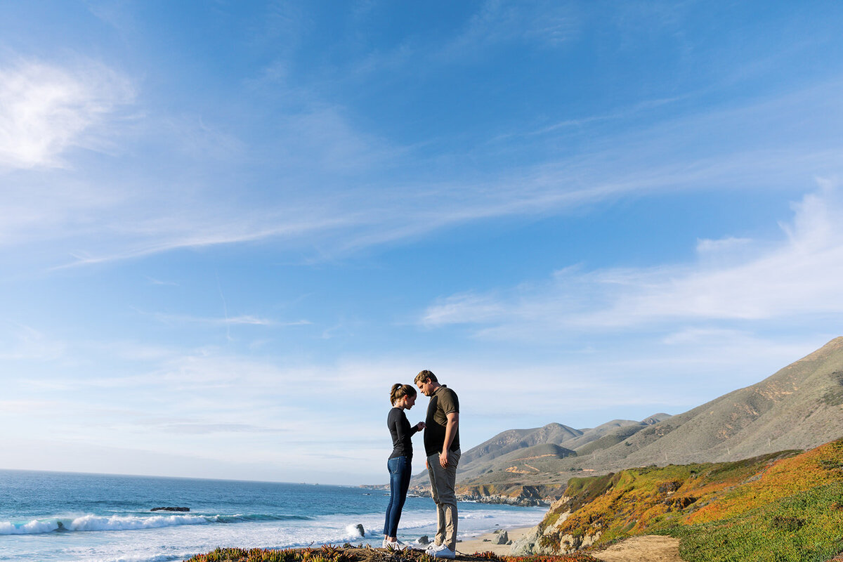 big-sur-proposal-photographer-101