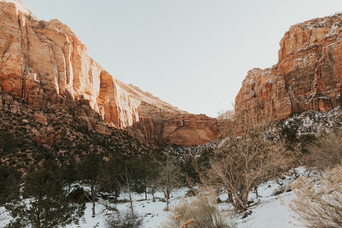Zion-National-Park-6