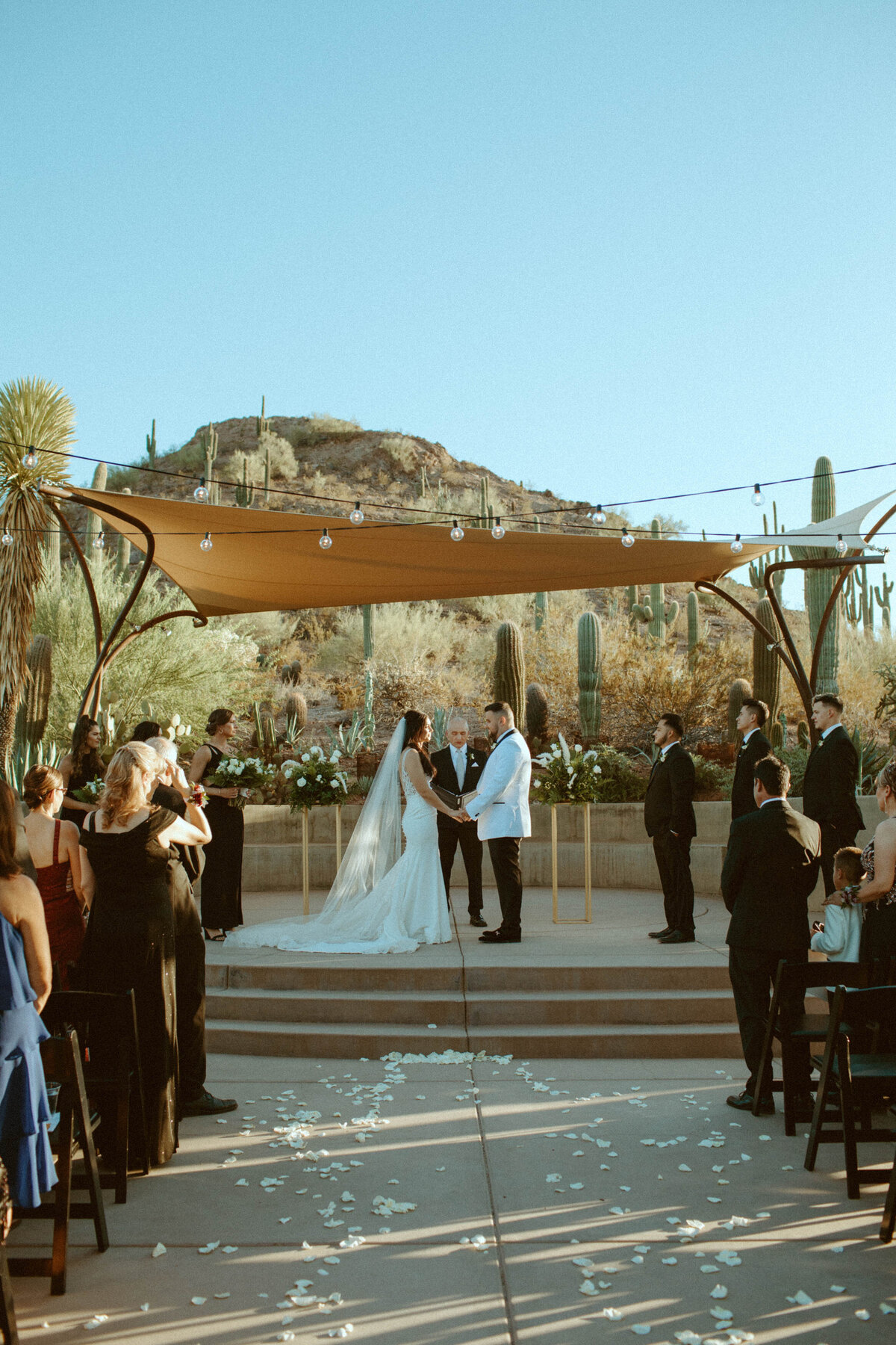 Desert-Botanical-Gardens-Wedding-OliviaHopePhotography--7