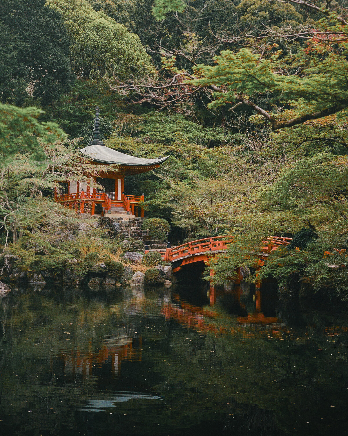 kodak_professional_portra_400_04_11_2023_000129130008