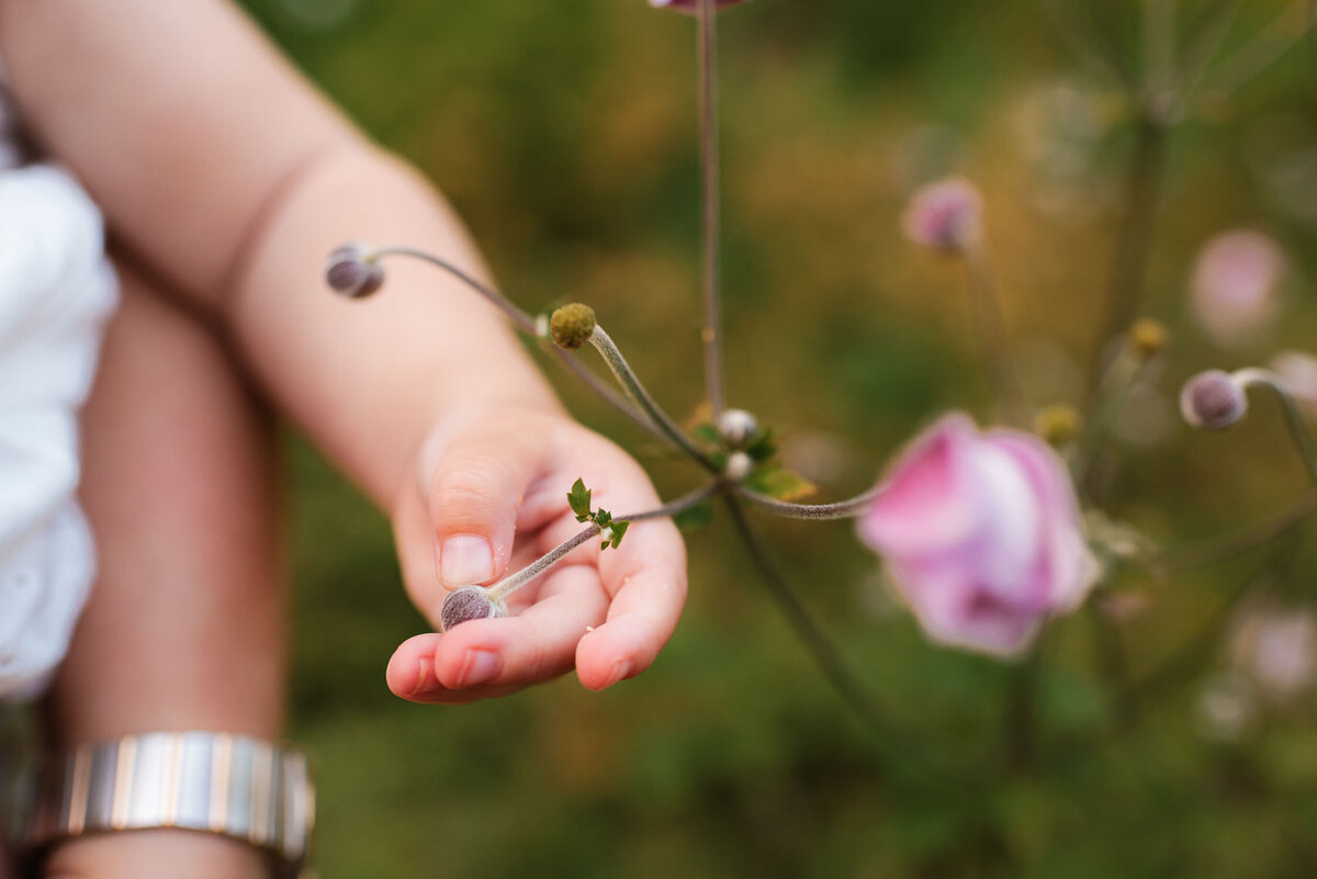 Katz Summer Family Session, Cross Estate Gardens, Bernardsville NJ, Nichole Tippin Photography-67